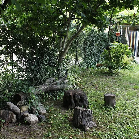 Planinsko Gnezdo Tatil Evi Tŭzha