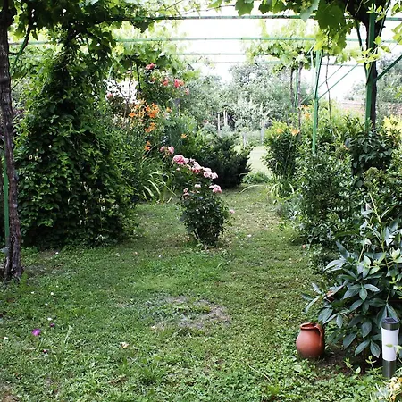 Planinsko Gnezdo