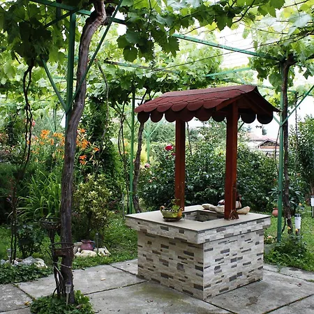 Planinsko Gnezdo * Tŭzha