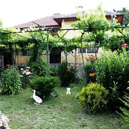 Planinsko Gnezdo Tatil Evi
