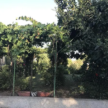 Planinsko Gnezdo Tatil Evi *