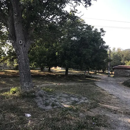 Planinsko Gnezdo * Tŭzha