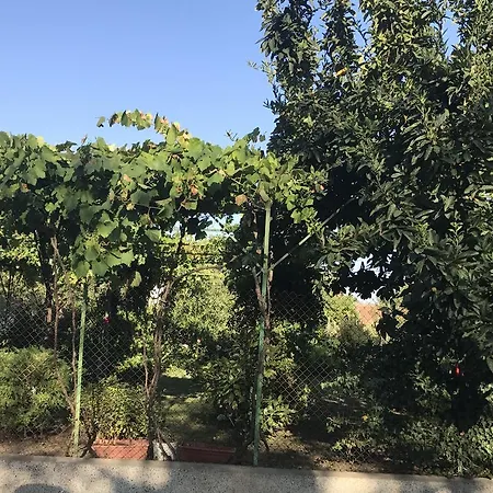 Tatil Evi Planinsko Gnezdo Tŭzha