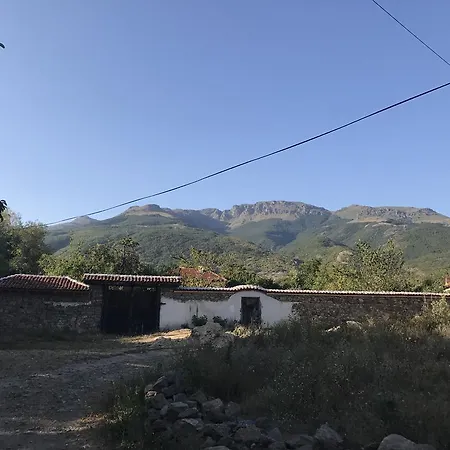 Planinsko Gnezdo Tatil Evi