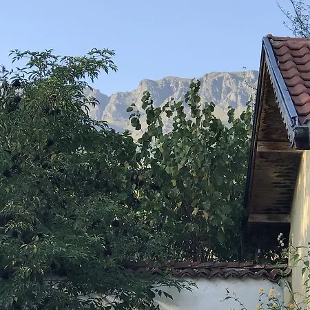 Planinsko Gnezdo * Tŭzha