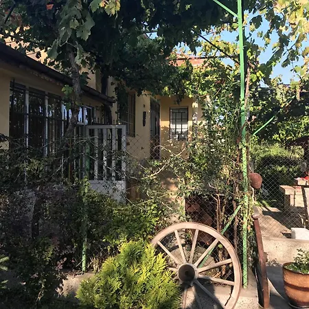 Planinsko Gnezdo *