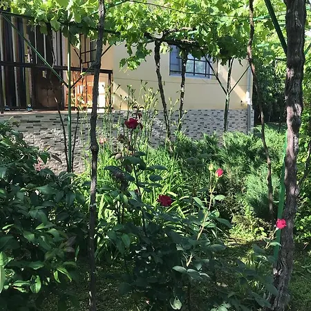 Planinsko Gnezdo Tatil Evi