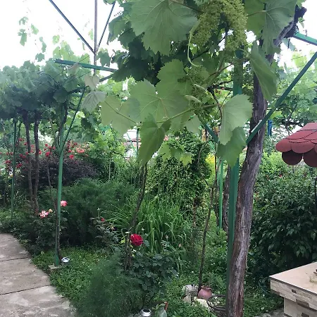 Tatil Evi Planinsko Gnezdo *