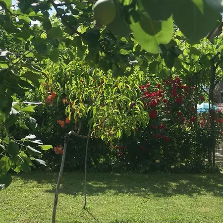 Tatil Evi Planinsko Gnezdo Tŭzha