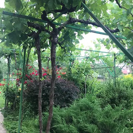 Planinsko Gnezdo * Tuzha