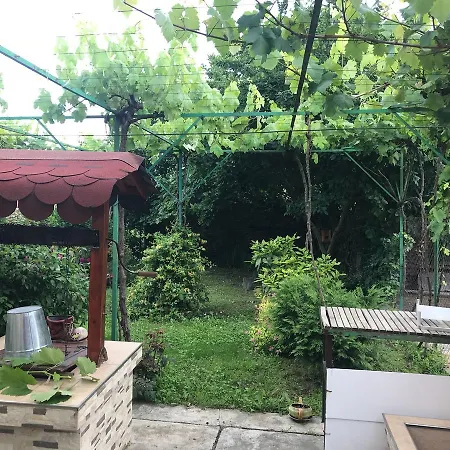 Tatil Evi Planinsko Gnezdo